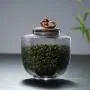 Tea Jar Kitchen Tea Storage Bottles Glass Candy Jars With Cork Lid Spices Sugar Coffee Container Receive Organizer Cans Gadgets,A