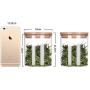 QIANZICAI Tea Cans, Red Persimmon Ceramic Storage Jars, Everything Goes Well, Creative Gifts, Gifts/Ornaments Tea Ceremony Accessories (Size : 260ml+500ml+860ml)