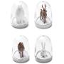 Four Seasons Plant Animal Spice Jar Set Salt & Pepper Shaker Set, Creative Kitchen Salt Pepper Condiment Seasoning Shaker Seasoning Jar Condiment Storage Container Cruet Spices Jar Storage Bottle Box