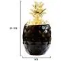 VANKOA 2er Set Keramik Ananas Aufbewahrungsglas Süßigkeitenglas Keksdose mit Deckel für Heimgebrauch, Kaffee, Tee