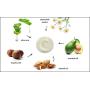 RAYA Revitalizing Cream (307) | Moisturizing, Regenerating, and Calming Facial Day and Night Cream for Dry and Irritated Skin | Nourishes and Helps Reduce Fine Lines and Wrinkles