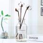 Transparent Glass Storage Jars Chic Dry Flower Vase Scandinavian Fresh Floral Container Desktop Decor Organizer Jar,250Ml Big Bouth