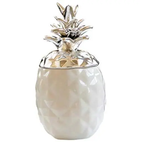 Bouteille Poivre Sel Épices Design Pineapple pour la Maison, la Cuisine, Camping, Randonnée, Pêche, Barbecue