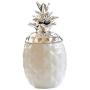 Ceramic Pineapple Shaped Spice Jar Seasoning Can Kitchen Canisters Sugar Salt Pepper Spice Jam Pot Storage Box for Jewelry, Home Organizer