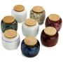 Exquisite Oriental Ceramic Food Storage Jar Canister Food Canisters,Loose Tea Tin/Tea Storage/Tea Caddy/Tea Canister/Coffee Canister/Coffee Jar/Spice Nuts Snacks Storage 2.32oz/66g (Ermine)