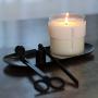 APOTHIA Premium Scented Candle | Non-Toxic Candle with Naturally Derived Soy Wax Blend | Up to 60 Hour Long Burn Time | 9 oz