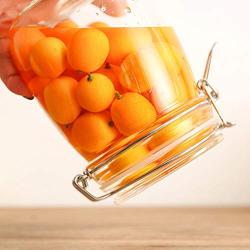 TOPBATHY 1 Pc Clear Square Glass Seal Pot Storage Container with Stainless Steel Buckle for Sealing Storaging