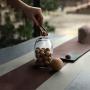 Glass Food Storage Containers with - Natural Wooden Lid - Airtight Lids for Pasta,Tea,Coffee,Cookies,Snacks for Kitchen and Pantry, Borosilicate Jars, (Small)