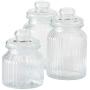 WHW Whole House Worlds Iconic Ribbed and Knob Topped Clear Glass Kitchen Storage Jars, Set of 3, Air Tight Seals, 9, 7 1/2, and 6 Inches Tall