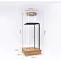 Contenant de Rangement Alimentaire HOUSIYU pour Café, Thé, Fruits Secs, Thé Latte/Thé de Café, Vitrine de Produits, Pot en Verre, 34-10cm Contenant de Rangement Alimentaire HOUSIYU pour Café, Thé, Fruits Secs, Thé Latte/Thé de Café, Vitrine de Produits, Pot en Verre, 34-10cm