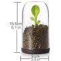 | Storage Bottles & Jars | Piece Creative Sprout Jar Shaker Tea Leaves Coffee Bean Sugar Storage Container Cute Spoon Seasoning Sealed Box Kitchen Tools | by HUDITOOLS | 1 PCs