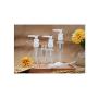 6PCS Empty Refillable 30ml/60ml/75ml/100ml Plastic Clear Travel Lotion Cream Dispenser Bottle Jars with White Pump for Makeup Cosmetic Bath Shower Toiletries Containers Leak Proof (30ml/ 1oz)
