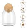 Hemoton Glass Storage Jar, Food Storage Container with Round Cork, Glass Grains Containers, Food Storage Jar, Beans Storage Container for Candy Sugar Coffee Tea Spice Salt, 500ML