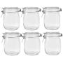 Betrome 25 OZ Glass Jar 6 Pack with Airtight Rubber Gasket Lid Reusable Storage Jar for Jam, Coffee, Tea,Honey, Beans, Spice