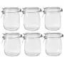 Betrome 25 OZ Glass Jar 6 Pack with Airtight Rubber Gasket Lid Reusable Storage Jar for Jam, Coffee, Tea,Honey, Beans, Spice