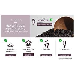 Haruharu WONDER Black Rice Hyaluronic Cream 1.6 fl oz (50 ml) Anti-oxidation and Moisturizing, 95% natural ingredients, EWG green scored on key ingredients, 200 ppm of Hyaluronic acid, Lavender oil