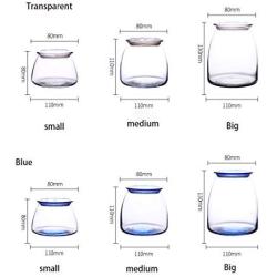 HOUSIYU Glass Jar, Tinted Transparent Glass Food Moisture-Proof Sealed Storage Tank, Suitable for Coffee Bean Tea Dried Fruit Grain, Blue 500ml