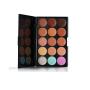 Pure Vie 15 Colors Cosmetics Cream Contour and Highlighting Makeup Kit, Color Correcting Cream Concealer Camouflage Makeup Palette + 11 Pcs Foundation Powder Concealer Eye Shadows Makeup Brushs