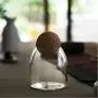 Kitchen Transparent Storage Bottles For Bulk Products Jars With Lid Spices Sugar Tea Coffee Container Organizer Cans R S