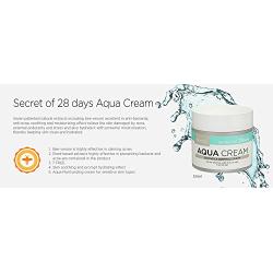 [RAMOSU] 28 ​Days Aqua Cream Soothing Hydrating Oil Control Facial Moisturizer | Anti Acne and Anti Aging