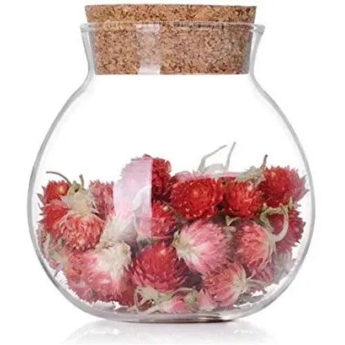 1Pcs 500ml/17oz Clear Empty Glass Storage Jar with Cork Stopper Round Food Packing Sealed Bottle Container Holder for Tea Flower Candy Seasoning Snack Craft