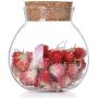 1er Glasbehälter 500 ml / 17 oz mit Korkenverschluss, runder Lagerbehälter für Lebensmittel, Tee, Blumen, Süßigkeiten, Gewürze, Snacks, Basteln