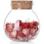 1Pcs 500ml/17oz Clear Empty Glass Storage Jar with Cork Stopper Round Food Packing Sealed Bottle Container Holder for Tea Flower Candy Seasoning Snack Craft