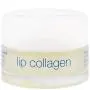 Lip Rescue: Kollagen + Peptid-Komplex