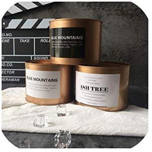 Minimalist Metal Gold Iron Storage Jar Tank Scandinavian Elegant Luxury Sundries Organizer Desk Storage Tea Coffee Tin For Home,Rose Gold L 145Mm