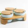 DUDDP Storage Spice lar set Spice jar with Rack Melamine Seasoning Box Set, Spice Container, Sturdy & Stylish, Kitchen Supplies Storage Container Pots with Spoons (Color : Blue)