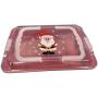 Holiday Plastic Large Cookie/Food Storage Container with Lid 14" x 13.75" x 3.5" (random assortment)