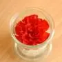WECK Mold Shape glass canister 160ml WE-760, set of 6pcs