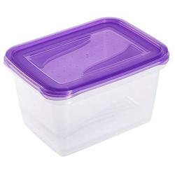 keeeper Food Box Fredo Fresh 2L Rectangle 2 Pieces, Polypropylene, Purple, 20.5 x 15.5 x 10.5 cm