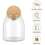 BESTONZON Glass Storage Jar with Airtight Food Storage Jar Storage Container for Candy Sugar Coffee Tea Beans Spice Salt(500ML)