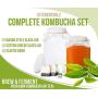 900ml Glass Kombucha Jar - Home Brewing and Fermenting Kit with Cheesecloth Filter, Rubber Band and Plastic Lid Glass Bottle by Candora