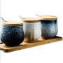 Mini Spice Jars Japanese seasoning jar ceramic set home kitchen