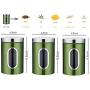 JENNIMER Stainless Steel 3PC Kitchen Canister Sugar Food Tea Coffee Candy Storage Containers with Transparent Windows (Green)