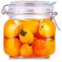 Tree House Food Storage Canisters Round Pot, Glass Storage jar Member Mason jar Stainless Steel Clasp Clip-G 750ml