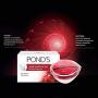 Ponds Age Miracle Cell ReGen Day Cream SPF 15 PA++, 10g