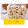 Kitchen Food Storage Jar Airtight Food Storage Storage Jar Pack Of 6 Lead-free Glass Dried Fruit Seal Moisture Proof Storage Jar (PACK OF 6)