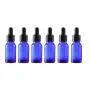 6 STÜCKE 15ML 0.5OZ Blaue Leere Glas Tropfschläuche mit Pipette und Schwarzdeckel – Essenzöl Behälter Kleine Probenbehälter Wiederbefüllbar Tragbar Haltbar für Reise und Alltag