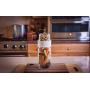 ToGoJar Set with Mason Jars - Mason Jar Storage & Food On The Go