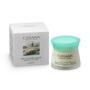CANAAN Hydrating Face Cream Moisturizer - Dead Sea Day Cream, 1.7 fl oz, Natural Hydrating Face Moisturizer For Younger Looking Skin