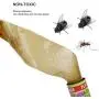 30er Pack Fliegende Fliegenfalle, Fliegende Streifen, Fliegende Klebeband, Fliegenfalle, Fliegenfangribbon, Fliegenfangribbon, Fliegenribbon, Fliegenköder