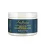 Shea Moisture Jojoba Oil & Ucuuba Butter Braid Condition Gel With Carrot Seed Oil, 12 Ounces Shea Moisture Jojoba Oil & Ucuuba Butter Braid Condition Gel With Carrot Seed Oil, 12 Ounces