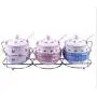 Mini Spice Jars Ceramic seasoning jar three-piece wrought iron bracket household ceramic spice bottle