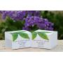 Dr Lisa Benest Skin Care 20% Glycolic Alpha Hydroxy Acid Anti Aging Day Night Alpha Lipoic DMAE Green Tea Peptide Ferulic Face Cream 1.75 Ounce