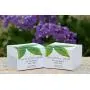 Crème Visage Dr Lisa Benest 20% Acide Glycolique Alpha Hydroxy Acide Anti-Âge Jour/Nuit Alpha-Lipoïque DMAE Peptide Vert Ferulique - 49 ml Crème Visage Dr Lisa Benest 20% Acide Glycolique Alpha Hydroxy Acide Anti-Âge Jour/Nuit Alpha-Lipoïque DMAE Peptide Vert Ferulique - 49 ml