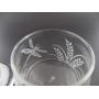 IncisoArt Hand Etched Vibe Storage Jar Sandblasted (Sand Carved) Glass Handmade USA Custom (12.25 Ounce (362ml), Dragonfly Grass)