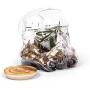 Original Stormtrooper Glass Bowl with Wooden Lid (Biscuit Jar/Storage Jar)